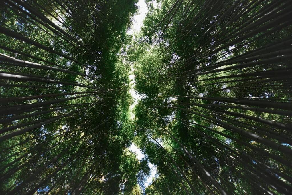 別荘 三条扇庵 *